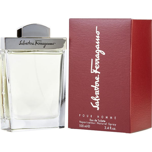 Salvatore Ferragamo EDT (M) / 100 ml